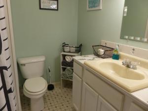 a bathroom with a toilet and a sink at Charming Country 1Bd 1Ba Cabin near Eureka Springs, Beaver Lake and White River in Eureka Springs