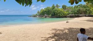 a man standing on a beach with a net at Margarita in Río San Juan +12 photos