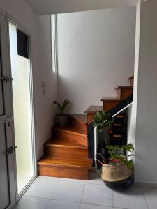 a hallway with wooden stairs with potted plants at Duplex Vistas, Resistencia Chaco in Resistencia