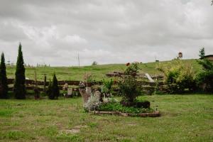 Fotografie z fotogalerie ubytování Brzozowa Polana v destinaci Budry + 54 fotografií
