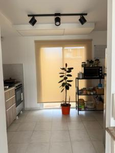 una cucina con una finestra con una pianta in un vaso di Duplex Vistas, Resistencia Chaco a Resistencia Altre 22 foto