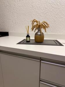 a table with a plant on top of it at Duplex Acolhedor - Duas quadras do Mar Centro in Tramandaí
