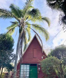 Κήπος έξω από το Eureka all year round +7 φωτογραφίες