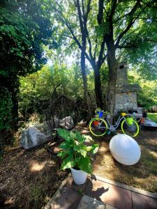 a bike is parked next to a tree at Apartment Ksenija 2 rooms, 55m2 brand-new in Košute