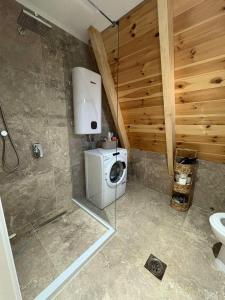 a bathroom with a shower and a washing machine at Vista Montis in Žabljak