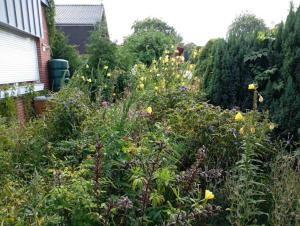 En have udenfor Haus der Kunst + 2 billeder