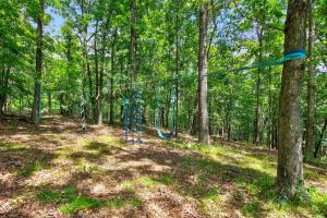 a park with a hammock in the woods at 20 acres w Private Pavilion, Fireplace & Fire Pit in Mathias