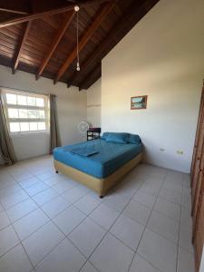 サンフィリップにあるMuscotのギャラリーの写真