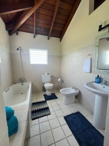 a bathroom with a tub and a toilet and a sink at Muscot in Saint Philip