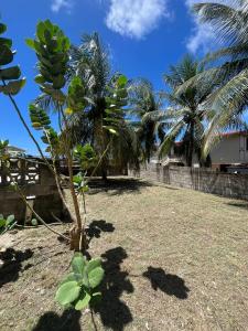 サンフィリップにあるMuscotのギャラリーの写真