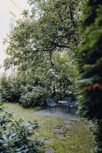 two chairs and a table under a tree at Charmanter Altbau in City Nähe in Osnabrück