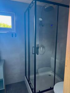 a shower with a glass door in a bathroom at Domek Konik Polny in Jastarnia