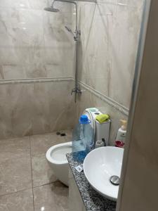 a bathroom with a sink and a toilet at Leran Gagat in Yerevan