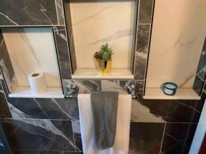 Φωτογραφία από το άλμπουμ του Hidden Gem -Titusville-Space Ctr, Bioluminescence σε Mims