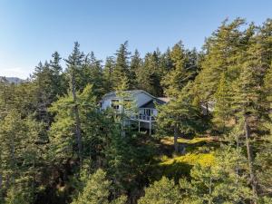 an aerial view of a house in the woods at Luxury Waterfront & Views, Private Beach, Golfing in Eastsound