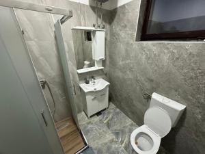 a bathroom with a toilet and a sink and a shower at Apartmani Samardzic in Bosanska Gradiška