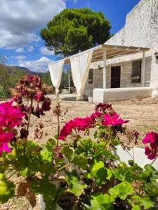 Taman di luar Rustico del Capitano