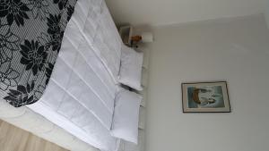 ポモリエにあるKraybrezhna Apartmentのベッドルーム(白い枕のベッド1台付)