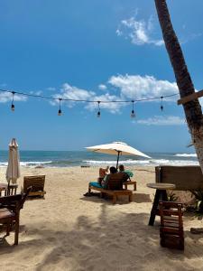 Příroda nedaleko penzionu + 41 fotografií