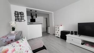 a living room with a couch and a television at Apartament w Lubomierzu in Lubomierz