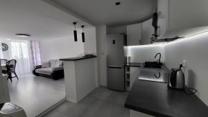 a kitchen and living room with a sink and a refrigerator at Apartament w Lubomierzu in Lubomierz