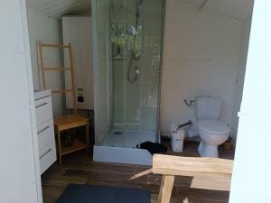 a bathroom with a shower and a toilet at Le Châlet des Hortillonnages in Amiens