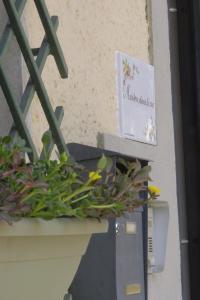 a balcony with a flower box and plants on a ledge at Maison dans la rue in Gassino Torinese