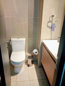 a small bathroom with a toilet and a sink at Entrañable departamento in Puerto Varas