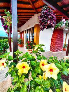 Κήπος έξω από το Mesa de los santos Casa campestre La Victoria