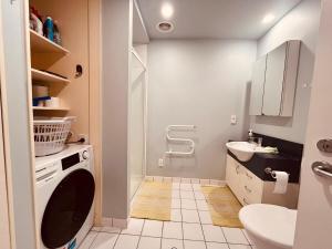 ウェリントンにあるWellington Central Accommodationの洗面台と洗濯機を備えた小さなバスルーム