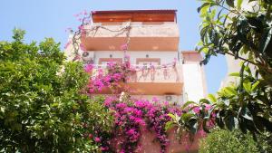A garden outside Idi