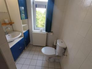 a bathroom with a toilet and a sink and a window at Cozy Beach House Beautiful Water View, WiFi & Parking in Kamperland +18 photos