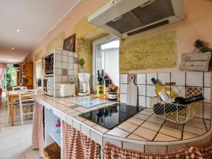 MonprimblancにあるHoliday Home in Monprimblanc with Pool & Vineyardsのキッチン(大きなカウンタートップ付)