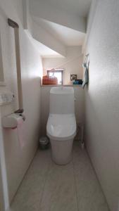 a bathroom with a white toilet in a room at ジャングルの宿 Okinawa in Uruma +20 photos
