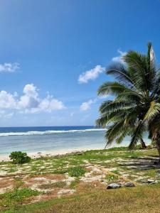 a palm tree on a beach with the ocean at Ocean Beach Bach Rarotonga in Rarotonga