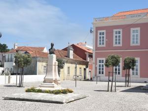 Una estatua en medio de un pueblo con un edificio rosa. en Holiday Home Nazaré Beach for Surfing, en Famalicão
