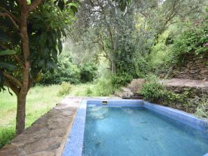 una piscina in un cortile con un albero di Cottage in São Luís near Costa Vicentina a São Luis