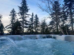 einen Pool mit einem Brunnen im Hof in der Unterkunft Chalet Xo Tremblant - 5brs, Private Baths, Spa, Sauna & Rooftop in La Conception