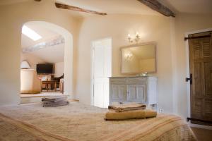 a bedroom with a large bed and a mirror at Les Carmes and spa in Le Thor
