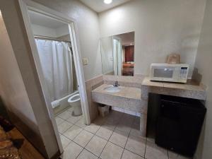a bathroom with a sink and a microwave on a counter at Executive Inn in Fort Worth