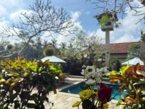 Zahrada ubytování Inang Villa ubud + 3 fotografie