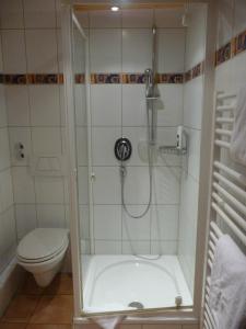 ein Bad mit einer Dusche und einem WC in der Unterkunft Gasthaus Ochsenwirt in Landshut