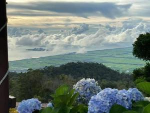 a view from the top of a mountain with blue flowers at Taman Sri Utama Gurun 