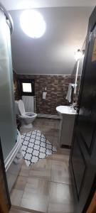 a bathroom with a toilet and a sink at La Ianis in Vatra Dornei +35 photos
