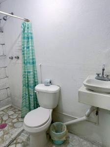 a bathroom with a toilet and a sink at Casita del Árbol in Mexico City +71 photos