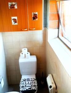 a bathroom with a toilet with two rolls of toilet paper at Bergblick in Fahrni