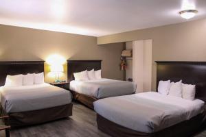 a hotel room with two beds with white sheets at Quality Inn Gunnison-Crested Butte in Gunnison