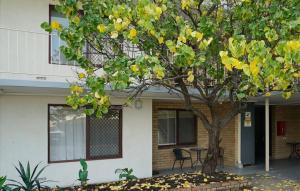 a tree in front of a house with a table at Rivervale Cosy Stunner Sleeps 2 in Perth