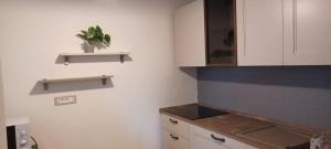 a kitchen with white cabinets and a potted plant at VistaBellaBorromeoFlat in Baveno