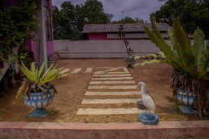 a bird standing in a yard with two vases at Dream House in Kirinda